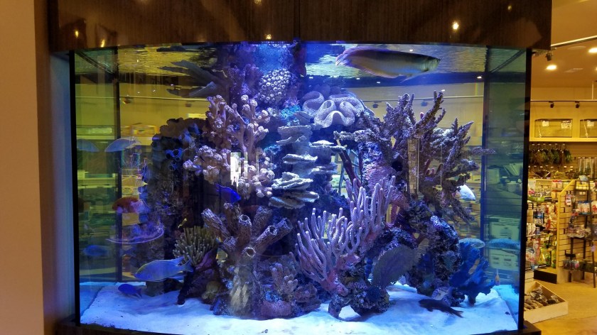 20160816_141150 (Large)