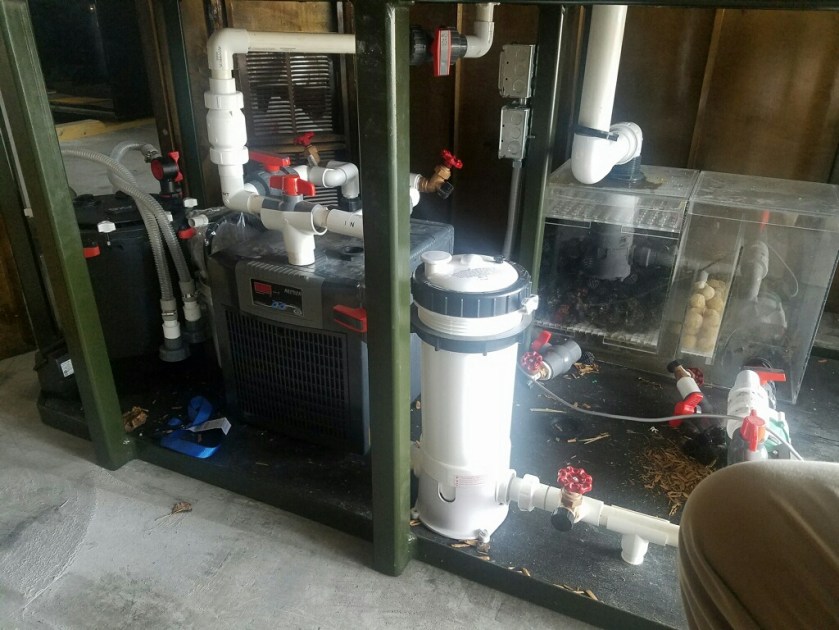 file-dec-29-16-34-08