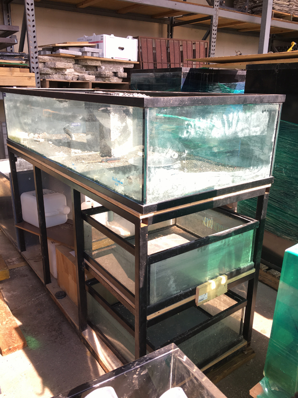 Photo Sep 08, 16 52 48 (1).jpg