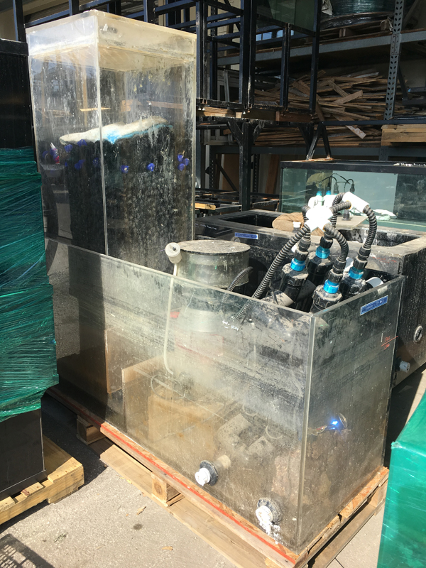 Photo Sep 08, 16 53 13.jpg