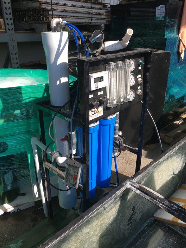 Photo Sep 08, 16 54 20.jpg