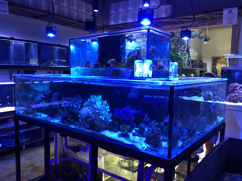 Photo Sep 08, 16 56 02.jpg