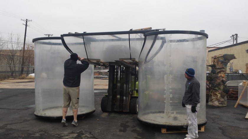 rainforest archway tank 1