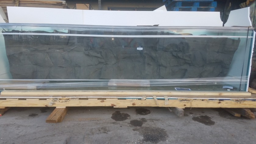 20180806_073209_resized