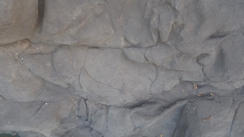 20180806_073221_resized