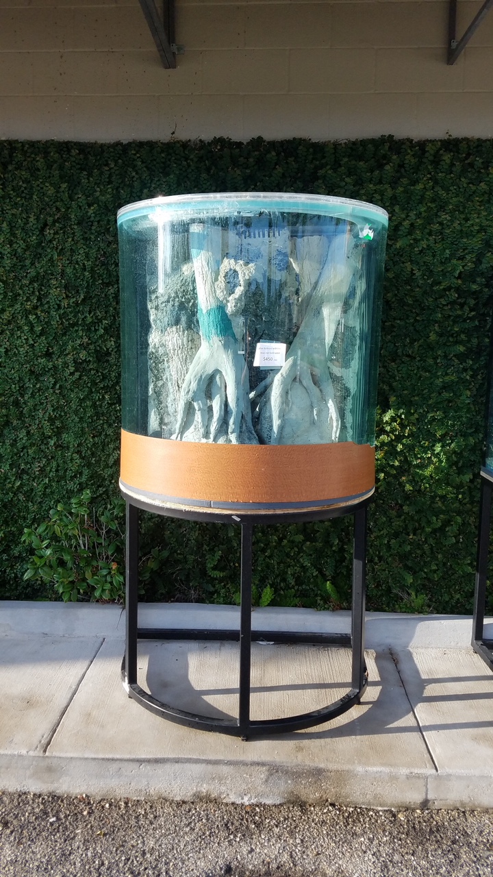 20180806_075739_resized