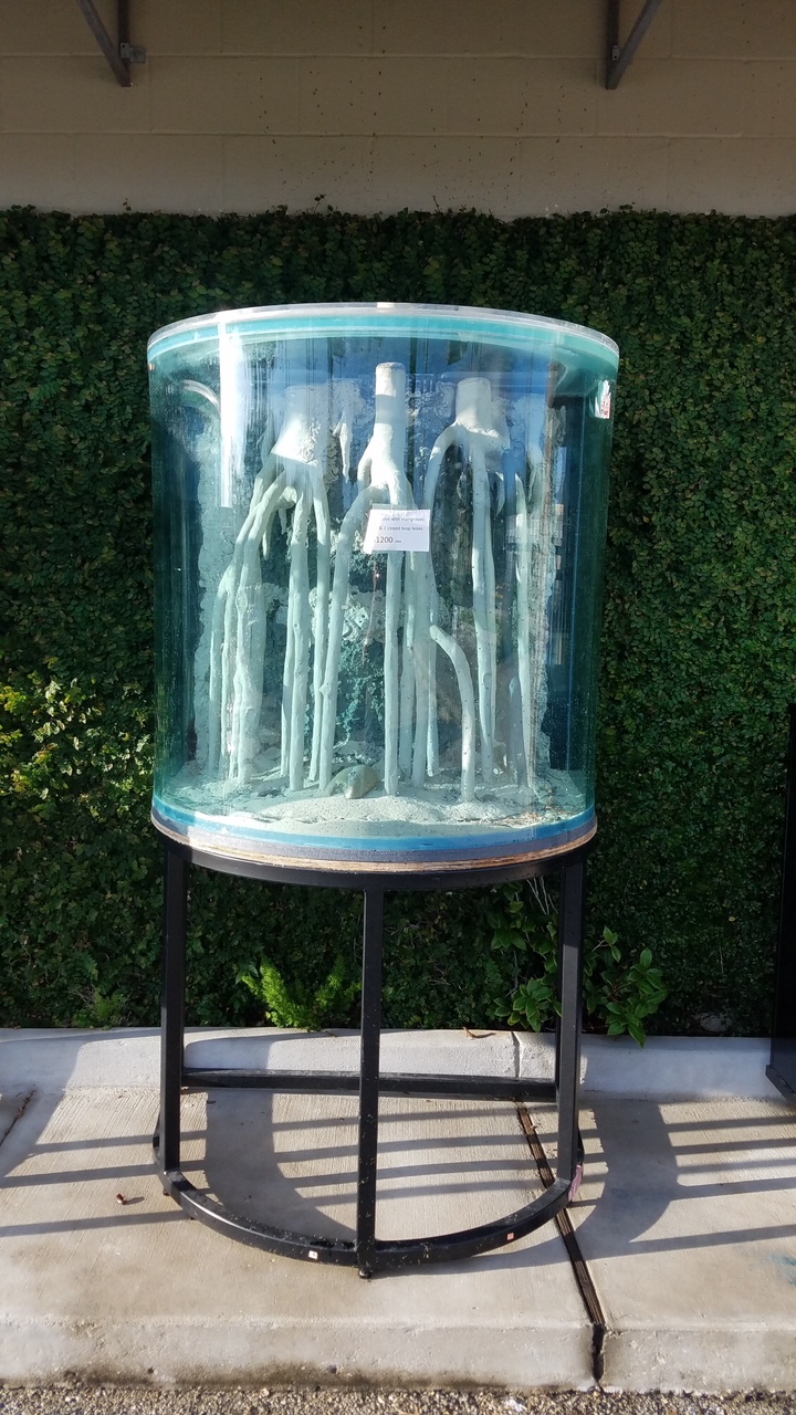 20180806_075745_resized