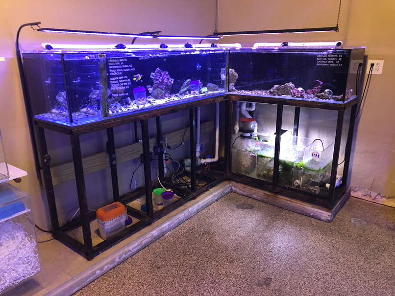 5436A0EB-976C-43E1-A40E-81549230232D