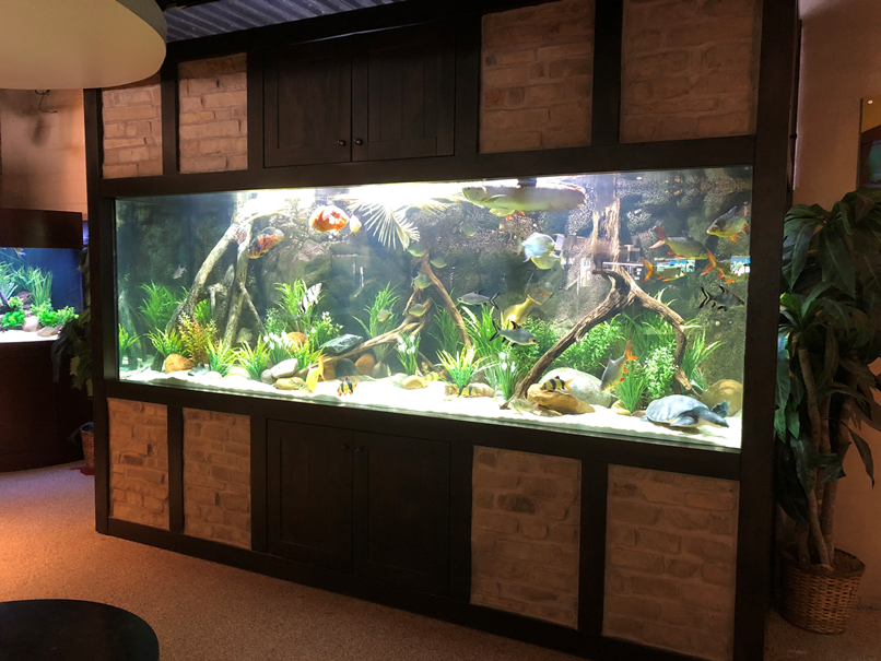 5DD30AE0-0295-4662-AE70-54B56FA7F6A2