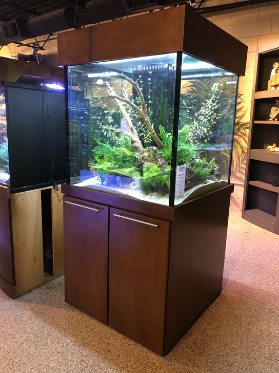 E8C444C6-D7C0-4CFB-B0EB-6E5C5946C407