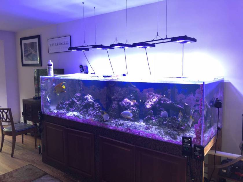 FF99F27E-2673-4049-BB62-6B0BCA62A0AA