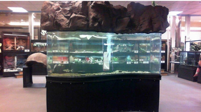 fresh salt 535 gallons.jpg