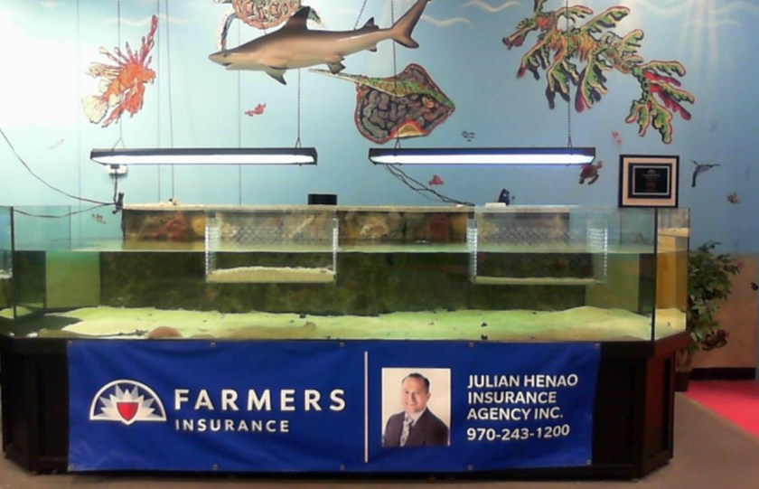 saltwater 1000 gallon.jpg