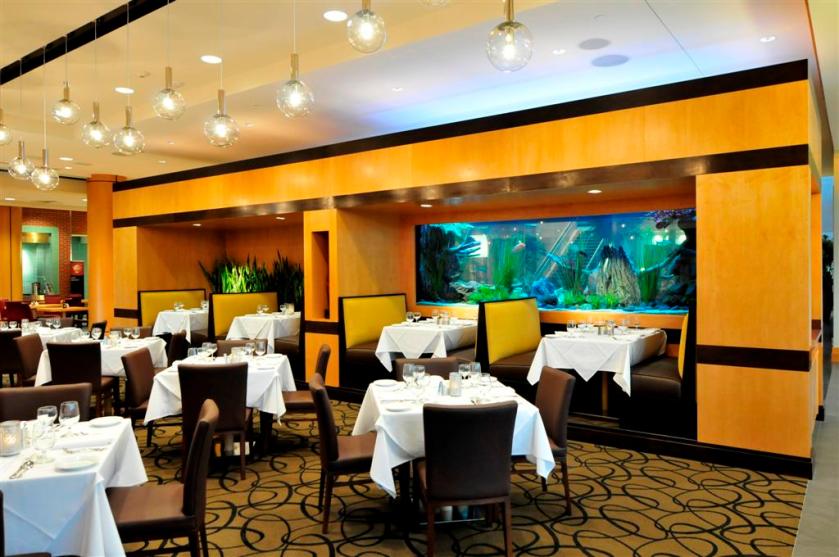 embassy 4 (Large).jpg